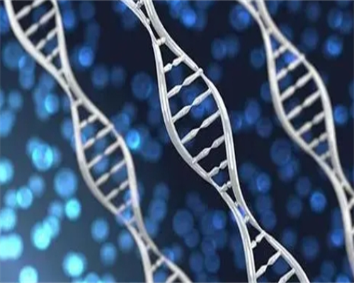 北京代生儿子网|北京助孕公司哪家成功率高，北京试管婴儿费用大约多少