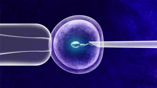 生殖中心为什么要做胸片？试管婴儿前为什么要拍胸片？,私立供卵