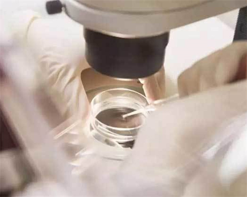 肚脐下方疼痛怎么回事？多半是由这7种原因引起的,助孕联系方式