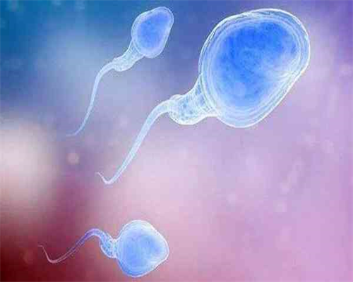 北京供卵试管套餐|北京朝阳医院做试管婴儿成功率高吗