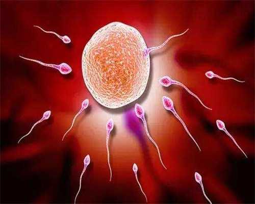 北京代生哪家好,北京试管费用是多少