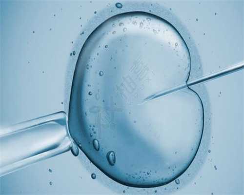 无创DNA检查是检查什么的?价格是多少?