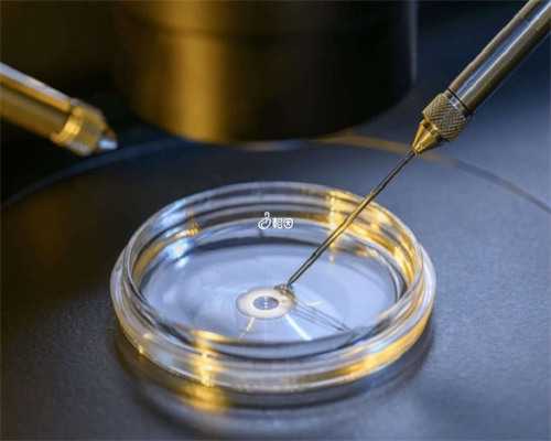 北京最好代怀公司,北京市二胎能享受哪些福利?内附北京市二胎补助标准