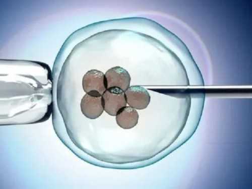 今日快讯!北京卵巢功能衰退做几代试管?,找人代怀宝宝