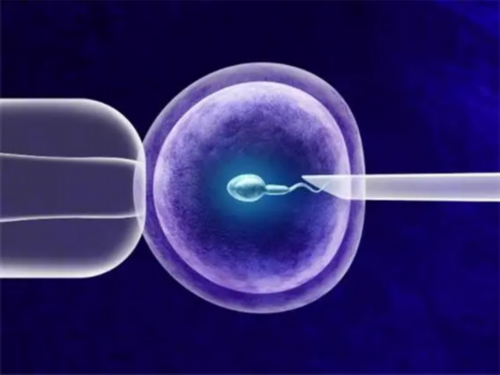 不孕不育症[优贝贝官网坤和助孕机构],石家庄多囊肾三代试管成功率高吗-正规