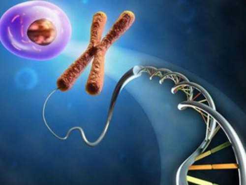 北京供卵代怀公司,北京三代试管价格