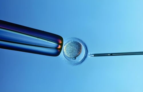 北京做供卵的女人,北京哪个医院做试管婴儿的妊娠率高呢?北京协和医院供卵