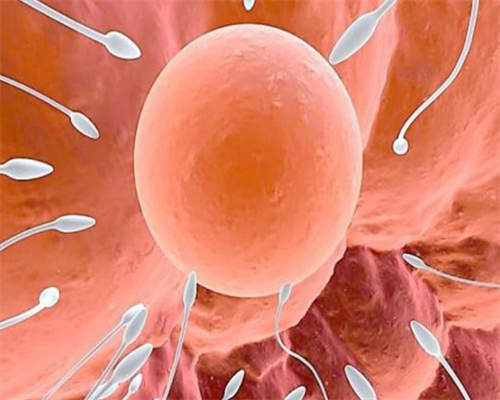 北京借卵助孕|北京助孕机构哪家好_三代试管医院