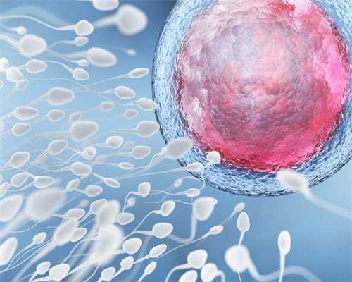 北京代腹生子多少钱,北京供卵机构排行,北京哪里的医院能做供卵代孕婴儿