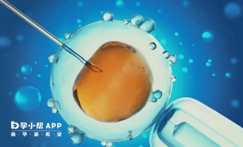 北京最新代孕套餐,浙江有偿供卵联系方式,北京有偿