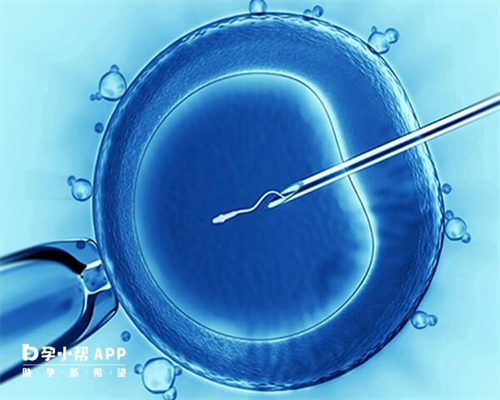 北京找代孕哪家好,2026
北京助孕指南：北京试管私立医院哪家好？