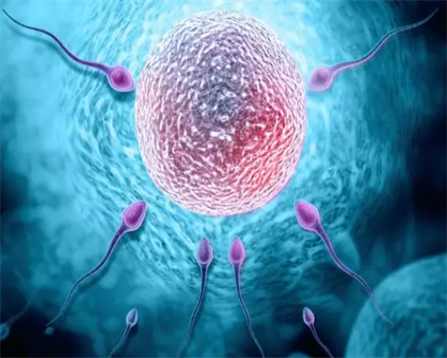 试管婴儿全套多少钱？,捐卵中介