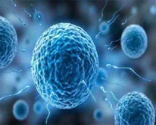 北京试管代生男孩|北京供卵试管选性别包男孩出生了