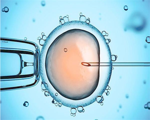 试管婴儿对身体伤害大吗？