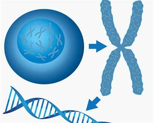 做x光多久可以怀孕（怀孕四个月肚子疼）,代生小孩机构