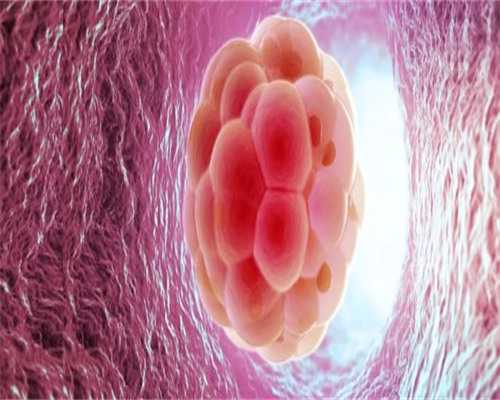 北京代怀双胞胎,北京供卵取几个,北京家恩德运医院生殖中心