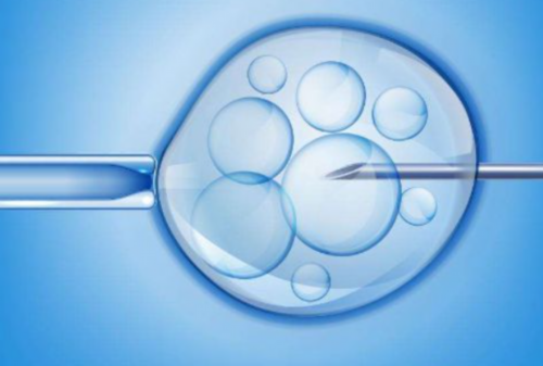 境外试管婴儿机构：有哪些值得信任的选择？,医院代生