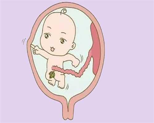 如何预防宝宝贫血