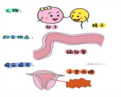 华大国际集团_中国传承国际助孕费用_左侧输卵管