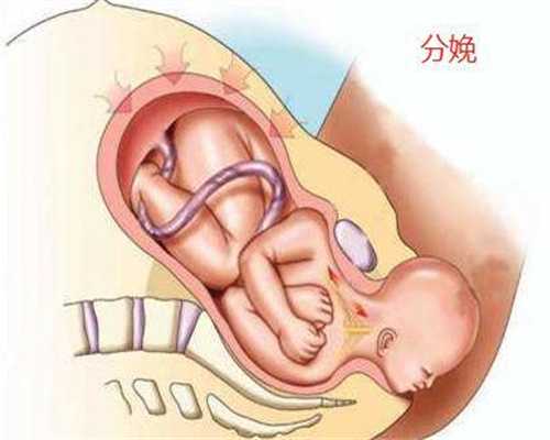 北京代孕有合法机构吗_北京哪个医院能做代孕手术多钱_北京有招代孕吗