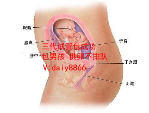 北京福梦助孕_试管婴儿供卵经验_试管性别合法_泰国试管婴儿选择性别是合法的